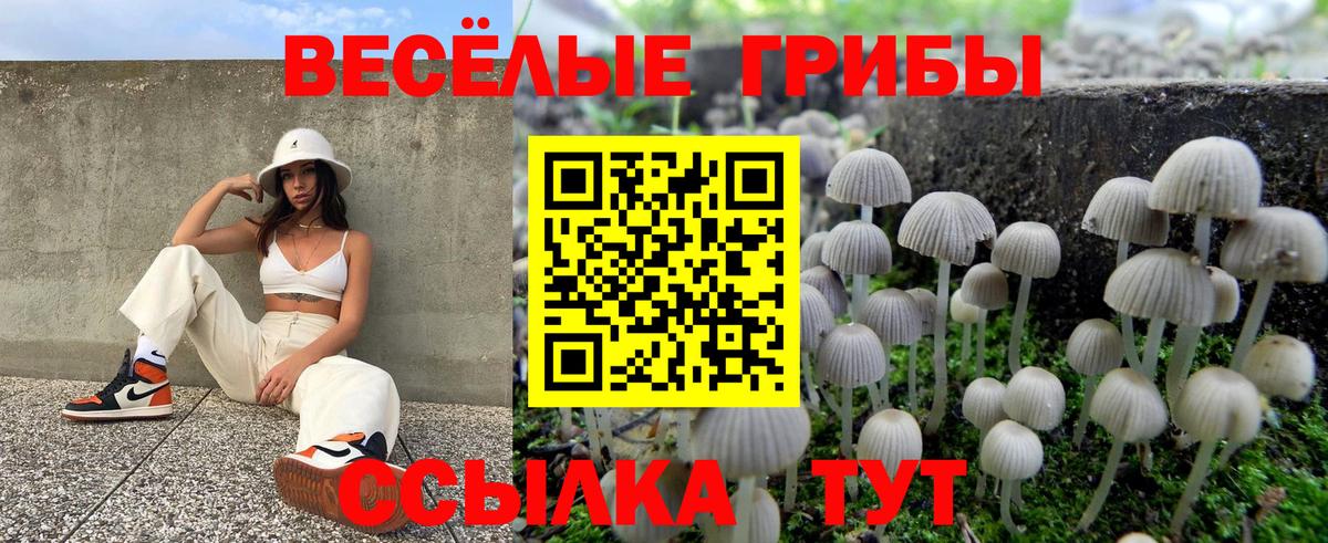 Псилоцибиновые грибы MAGIC MUSHROOMS Асбест