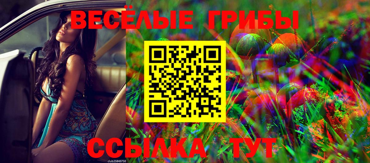 где купить наркоту  Галлюциногенные грибы Cubensis  Галлюциногенные грибы прущие грибы  Вход с VPN  Асбест 